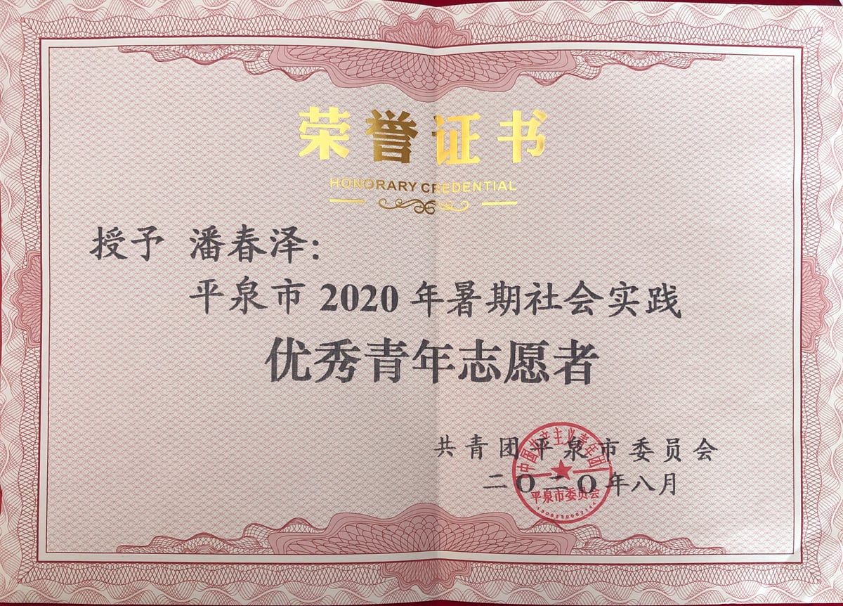 2020年优秀青年志愿者